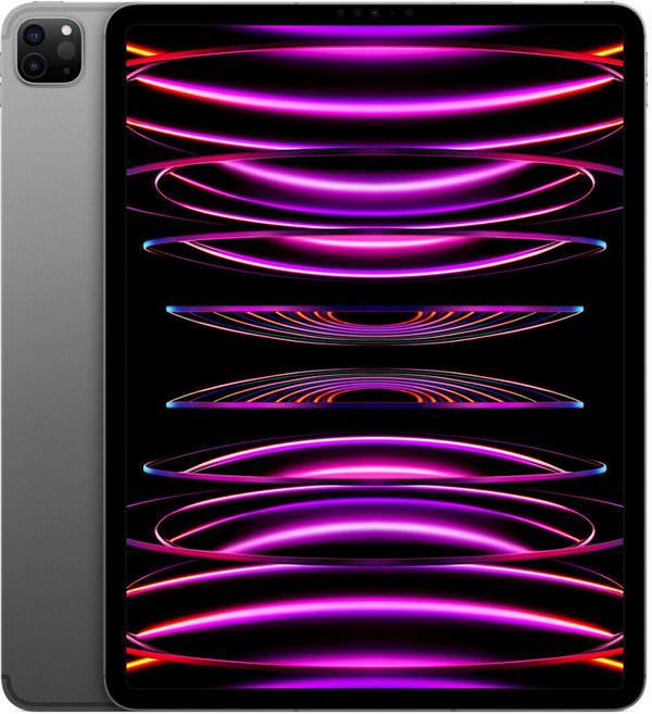 Apple iPad Pro 12,9" 2022 Wi-Fi 256 GB Space Grau MNXR3FD/A  (Neu, Differenzbesteuert)